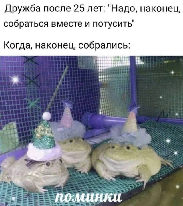 Мемы, которые спорят, дружат и ломают реальность