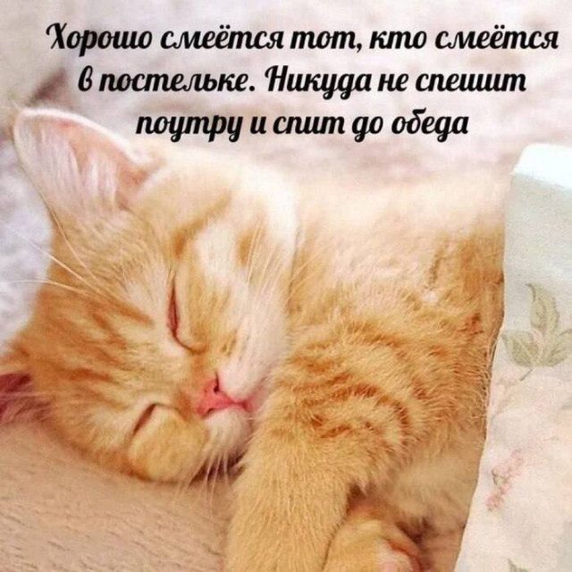 Подборка смешных мемов, которые спорят и ломают реальность Мемы, которые спорят, дружат и ломают реальность