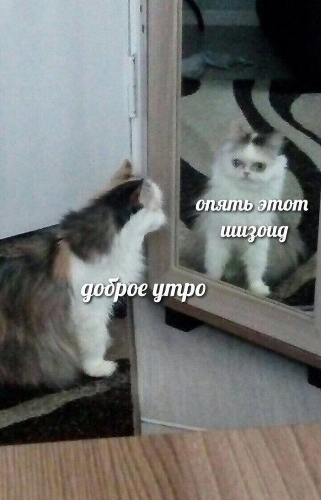 Когда хаос рождает красоту