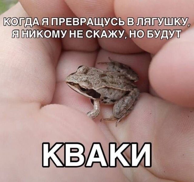 Лучшие шутки и мемы из Сети - 06.07.2026