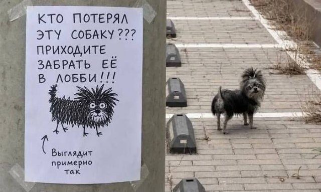 Лучшие шутки и мемы из Сети - 06.07.2026