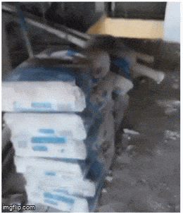 Забавные анимированные гифки для хорошего настроения