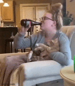 Забавные анимированные гифки для хорошего настроения