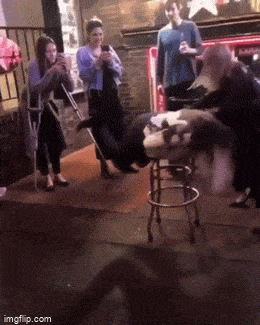 Женская логика в действии: гифки, которые заставят вас улыбнуться