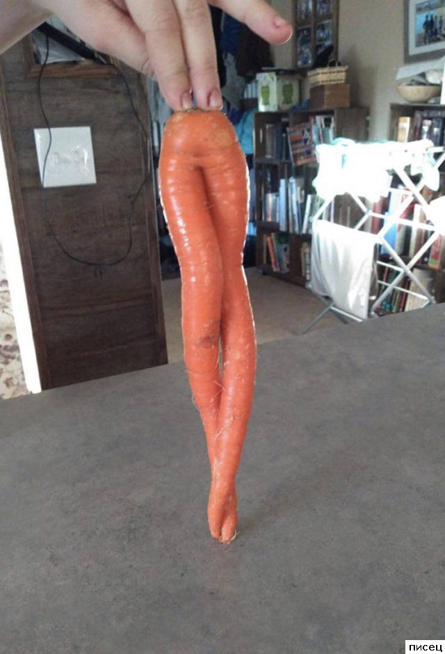 Случаи из жизни, которые лучше один раз увидеть